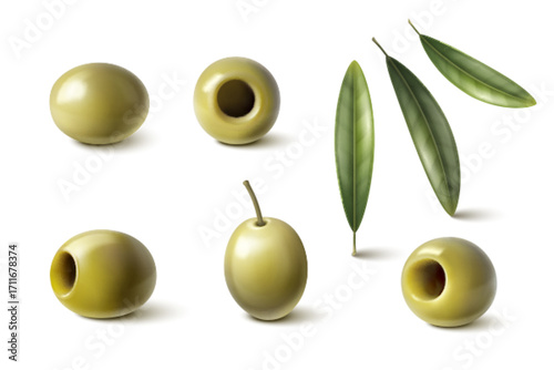 Realistic green olive oil collection with natural leaf elements - whole fruit, pitted varieties and fresh foliage branches for Mediterranean cooking design. Organic culinary ingredients set.