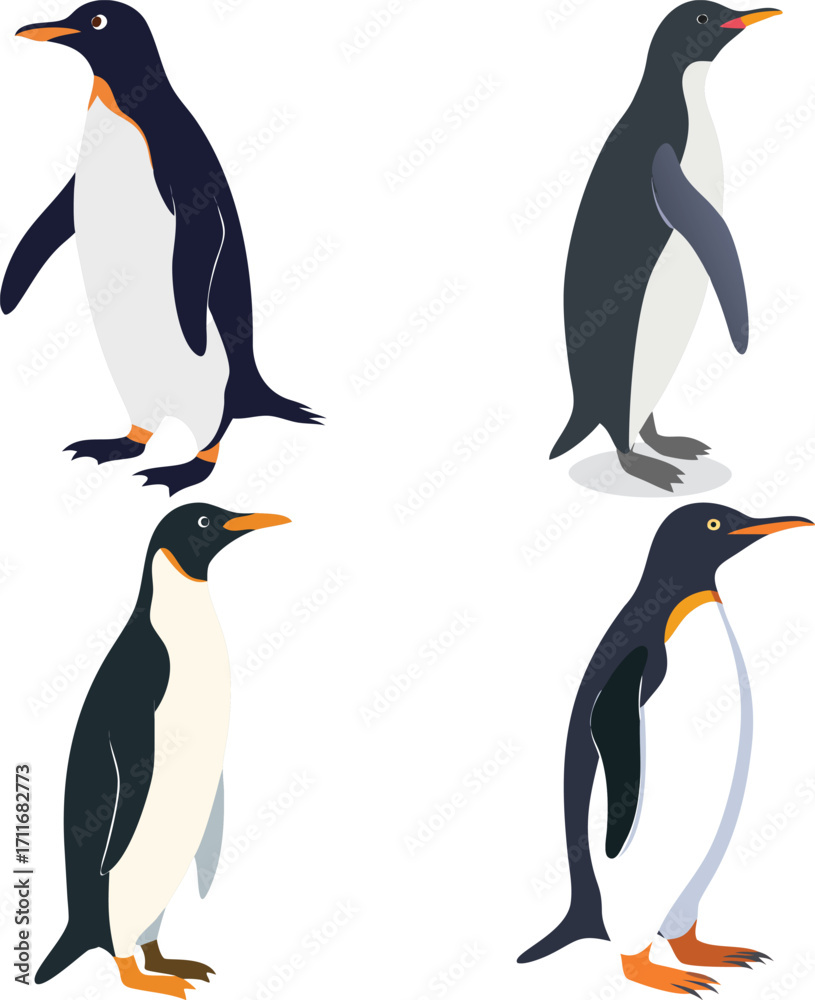 Fototapeta premium Penguins Vector Silhouette