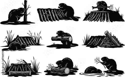 Beaver illustration set featuring nine dam-building actions with logs, branches, and lodge construction for educational and wildlife design use