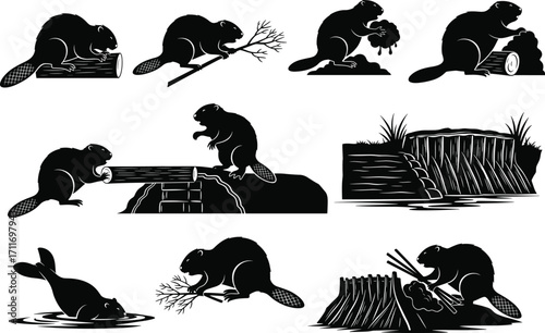 Beaver illustration set featuring dam-building actions, log carrying, and habitat construction for educational, ecological, and wildlife design use