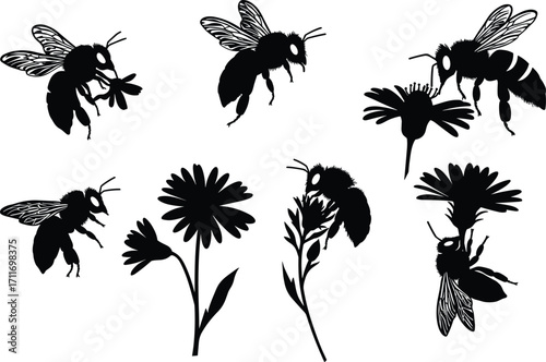 Bee and flower silhouette set featuring flying, landing, and nectar collection poses with detailed wings and botanical elements for design