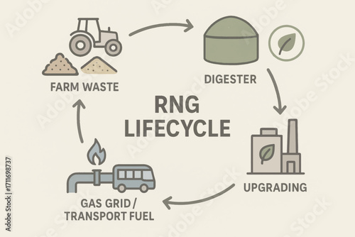 Vector lifecycle diagram illustrating renewable natural gas production from farm waste through digestion and grid injection process.
