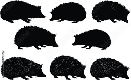 Echidna silhouette set featuring spiny texture, varied postures, and elongated snouts for wildlife illustration, education, and design use