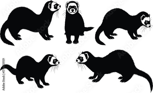 Ferret silhouette set featuring five realistic poses with white facial masks and elongated body shapes for wildlife and educational design use