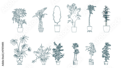 front View Vector Icons of Trees and Plants for Floor Plan and Architectural Design Projects	