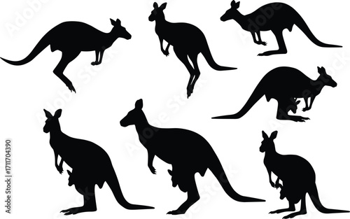 Kangaroo silhouette set featuring standing, hopping, and crouching poses with joey details and strong anatomy for wildlife design use