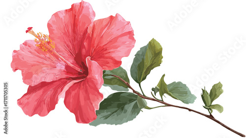A close-up digital illustration depicts a single pink hibiscus flower with its stem and several leaves. The flower is predominantly pink with subtle variations in tone, showcasing detailed petal
