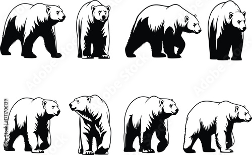 Polar bear illustration set featuring bold graphic styles, dynamic poses, and muscular anatomy for wildlife, mascot, and educational design use