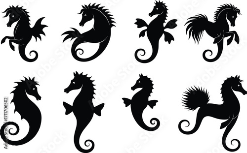 Seahorse silhouette set featuring fantasy-inspired anatomy, curled tails, and aquatic elegance for marine design, education, and character illustration use
