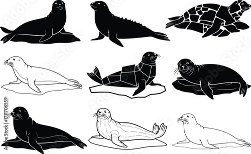 Seal illustration set featuring nine artistic styles including silhouette, geometric, line art, and textured designs for creative and educational use