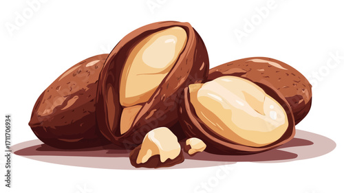 A digital illustration depicting three Brazil nuts.  One nut is whole, one is cracked open showing the kernel inside, and a third is partially cracked open with a piece of the kernel visible.