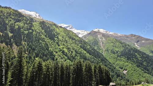 view of the mountains