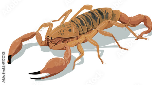 A detailed vector illustration of a desert scorpion, viewed from a slightly elevated angle.  The scorpion is predominantly light orange-brown in color with darker brown stripes across its segmented