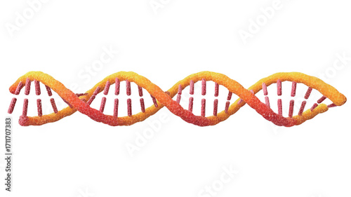 A digital illustration depicting a DNA double helix. The image shows a stylized representation of the double helix structure with a gradient color scheme ranging from orange to dark red,