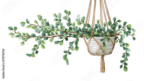 A watercolor illustration depicting a hanging plant in a white pot suspended from a macrame plant hanger. The plant features numerous small, light-green leaves and branches that trail downwards.