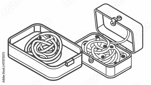 Two containers showcase neatly arranged cords, one open like a treasure chest, presenting a tidy solution
