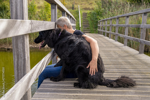 Watching fish, dog, pet, companion animal, shepherd, herding dog, human, together, friendship