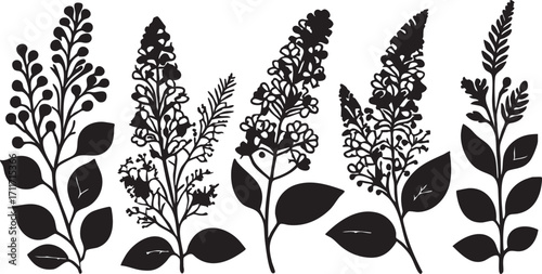 Vector lilac flower silhouette set - floral design elements for crafts and graphics eps