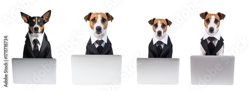 Business dogs in suits working on laptops in PNG image create humorous scene