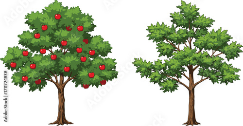 Apple tree with red fruits, non-fruit tree with green foliage, nature contrast, seasonal plants, forest landscape, botanical scene, outdoors