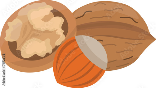 Walnut and hazelnut. Nuts isolated on white background. Vector cartoon flat illustration.