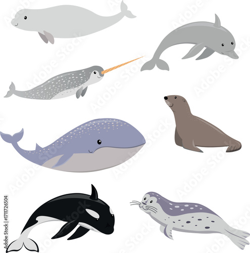 Marine mammals cartoon clipart in flat style. Sea animals vector illustration isolated on white background.