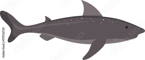 Cartoon smallhead shark isolated on white background. Vector in flat style for kids education.