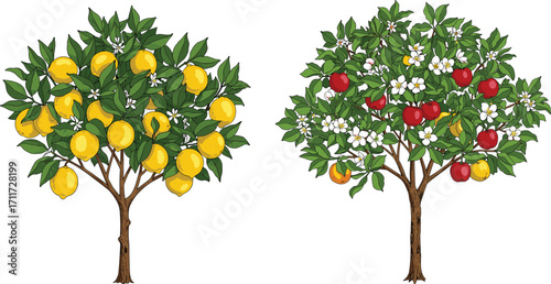 Lemon tree with yellow fruits, apple tree with red apples and blossoms, nature contrast, seasonal plants, forest landscape, botany scene