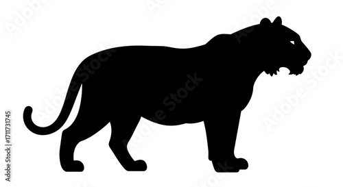 Majestic black panther silhouette majestic wild animal silhouette powerful feline predator
