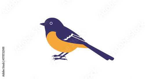Vibrant baltimore oriole bird perched gracefully on a