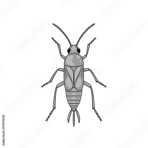 Understanding the anatomy and characteristics of the common plant bug.