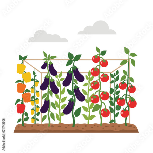 Growing a bountiful harvest of fresh vegetables in your home garden.
