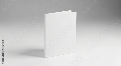 Wallpaper Mural Standing Blank White Book Mockup Torontodigital.ca