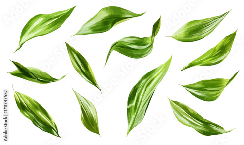 Collection Of Vibrant Green Tropical Leaves Isolated On Isolated Background. Vector Illustration Collection Set