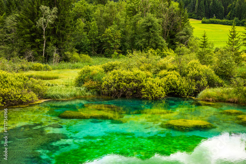 colorful nature background with mountain lake surrounded by lush greenery. green background. green wallpaper. crystal clear water. wild mountain lake