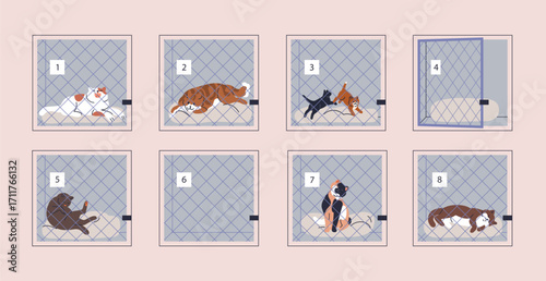 Cats in animal shelter, inside cage boxes in rescue center. Cattery for lost, abandoned and homeless pets. Temporary stay, voluntary feline housing with cute kitties. Flat vector illustration
