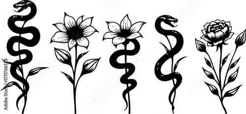 Serpent and Blossom Tattoo Designs bundle