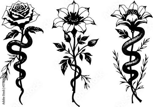 Serpent and Blossom Tattoo Designs bundle