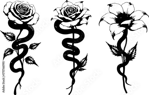 Serpent and Blossom Tattoo Designs bundle