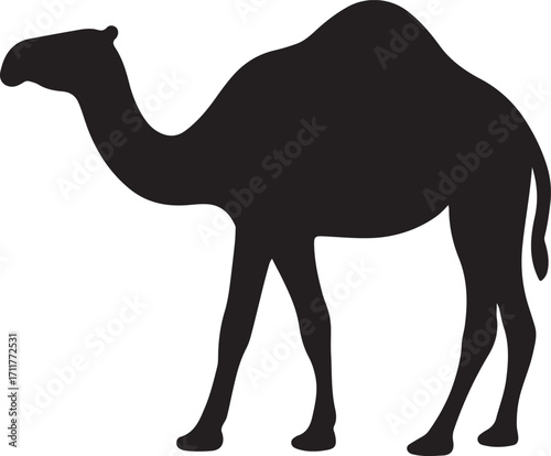 Camel Silhouette Minimalist Black Camel Vector Profile Illustration