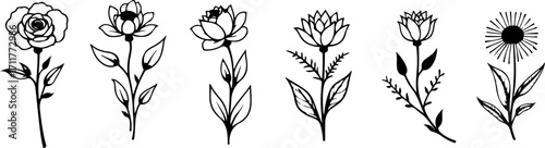 "Botanical Line Art Flower Collection"