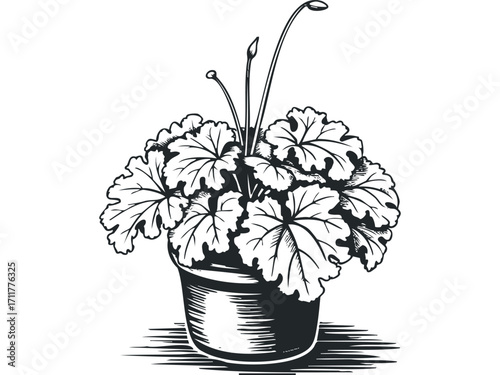 Potted Plant Silhouette with Textured Leaves and Stems. Vector hand drawn illustration