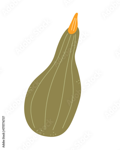 Green Pumpkin illustration. Thanksgiving nutritious healthy food. Autumn harvest festival. Vegetable isolated vector item on white background. November autumnal color flat spot illustration