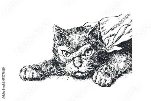 Sketch of a cat wearing a cape and mask, presented as a. Vector hand drawn illustration