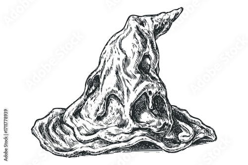 Witch hat hand drawn sketch. Vector hand drawn illustration