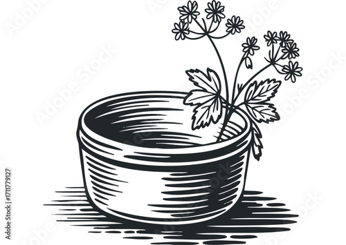 Line art vase with wildflowers. Vector hand drawn illustration