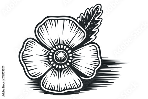 Mono Flower with Leaf and Shadow. Vector hand drawn illustration