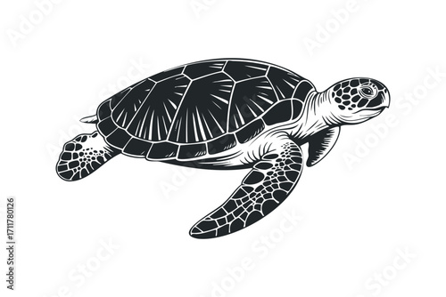 Sea Turtle swimming isolated. Vector hand drawn illustration