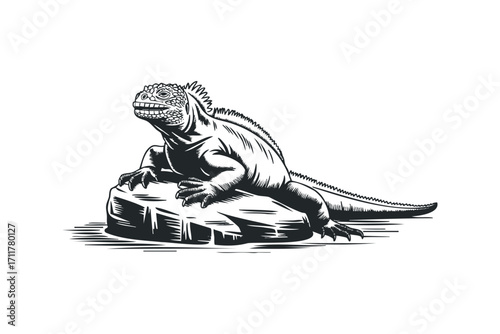 Iguana perched on a rock with a textured body and sharp claws. Vector hand drawn illustration