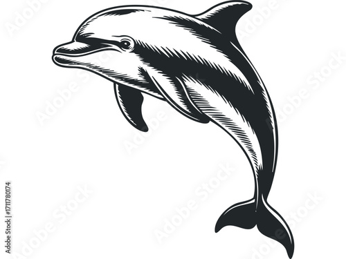 Monochromatic Dolphin leaping out of water. Vector hand drawn illustration